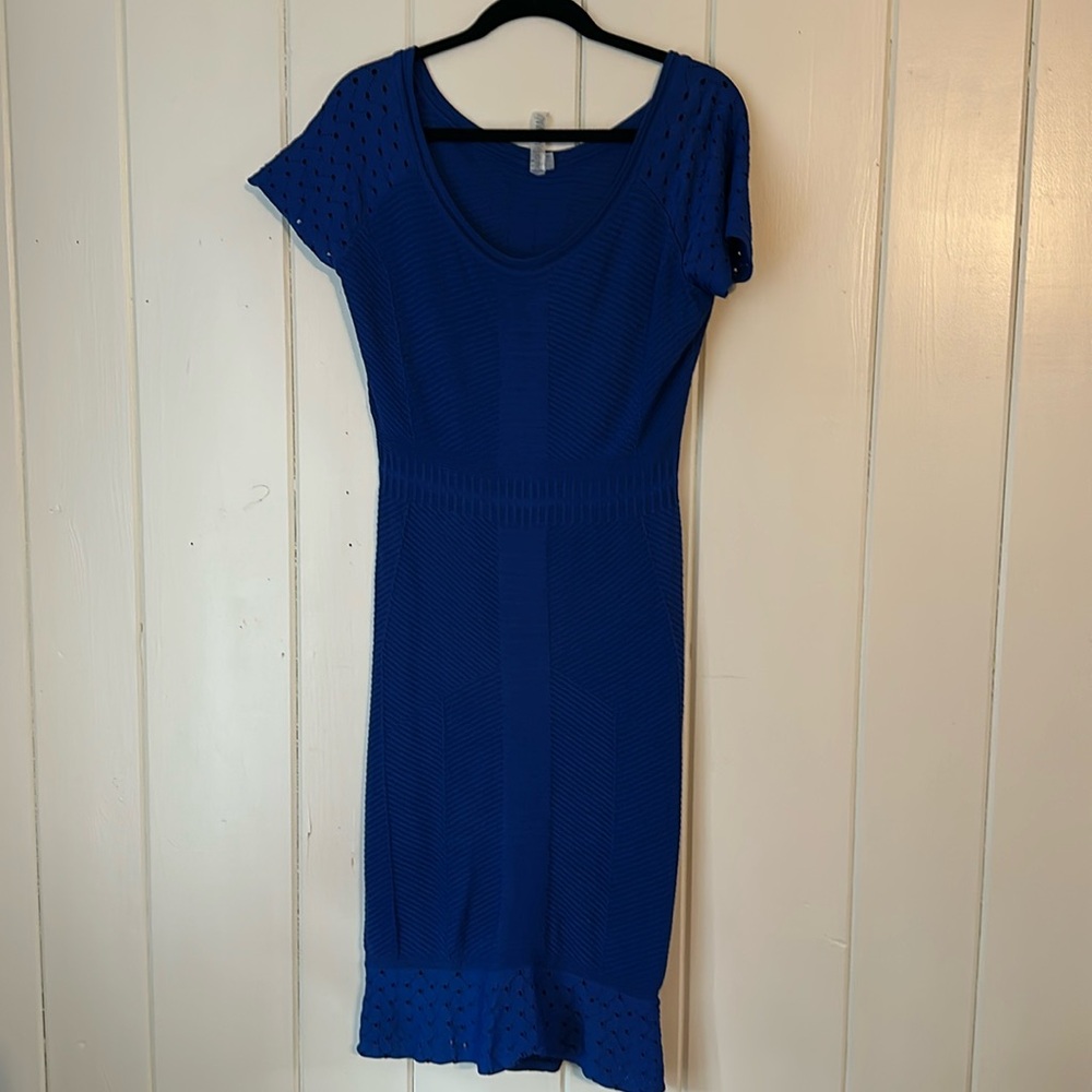 Yoana baraschi dress